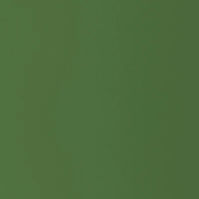 HPL-панель Greenlam Clads Posy Green, 3050*1300*6 мм