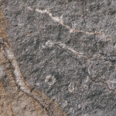 Гибкая керамика Phomi "Rough Surface" Rock Mottle Brown 