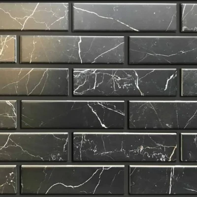 Плитка для фасада Terramig Medici Negro