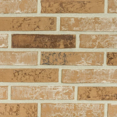 Фасадная плитка под кирпич  Lifebrick 228*48*17 мм, Clio 150 