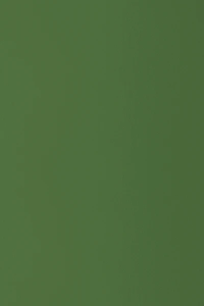 HPL-панель Greenlam Clads Posy Green, 3050*1300*6 мм