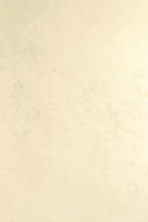 Фасадный керамогранит Laminam Collection Bianco Assoluto 1000x3000х5,6 мм