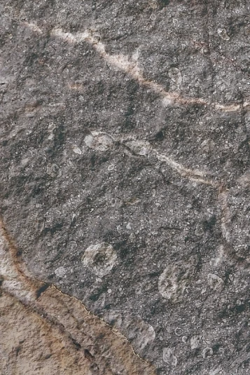 Гибкая керамика Phomi "Rough Surface" Rock Mottle Brown, 3000*1200мм
