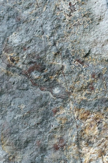 Гибкая керамика Phomi "Rough Surface" Romam Grey, 3000*1200мм